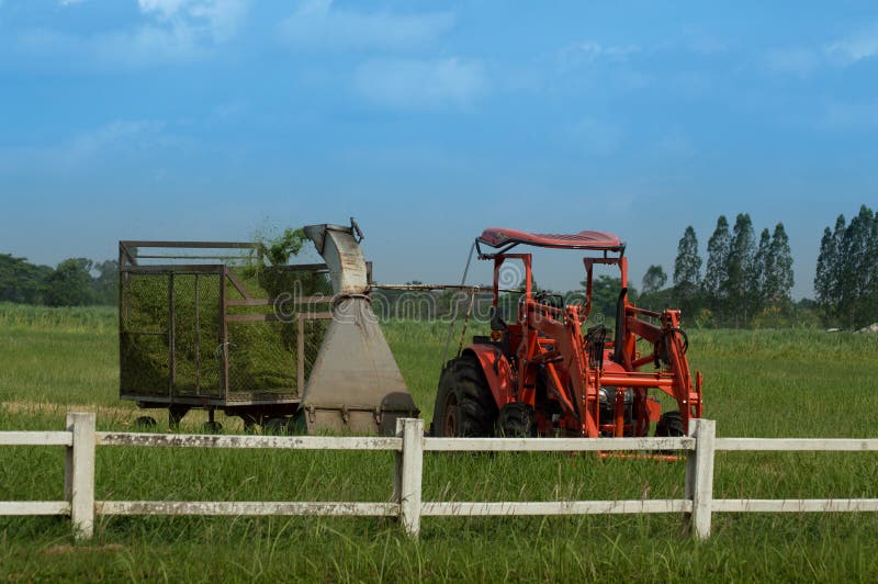 Lawn Mower Tractor with Trailer Working at Farm Stock Photo Image of