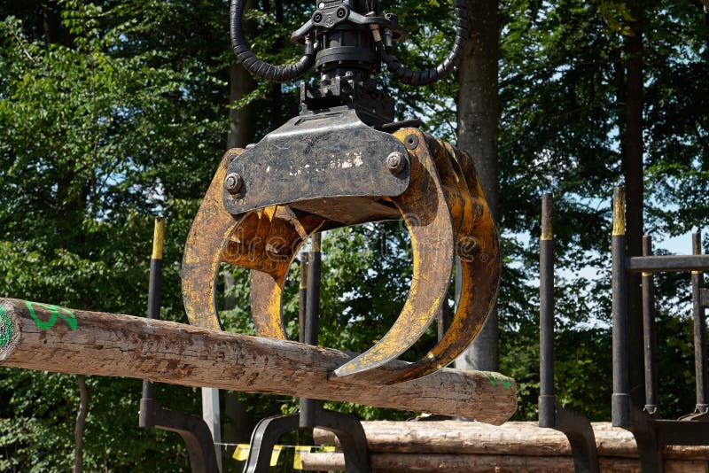 Heavy harvester loader doing forestry work royalty free stock images