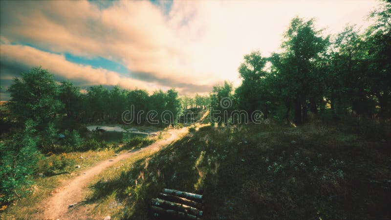 Heavy rain clouds over the field at the sunset royalty free illustration