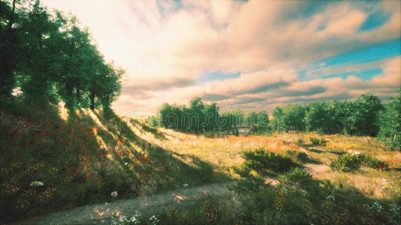 Heavy rain clouds over the field at the sunset royalty free illustration