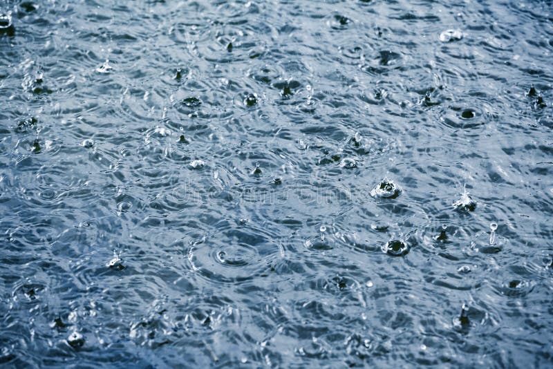 Heavy rain drops on a lake stock image. Image of pond 90311151
