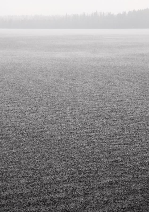 Heavy rain on lake surface stock image. Image of drop 49253163