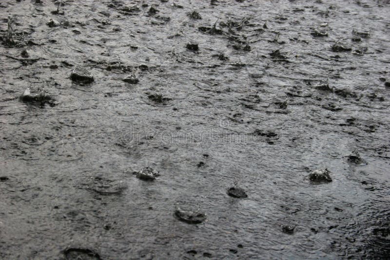 Heavy rain shower stock image. Image of cold, raindrop 14852599