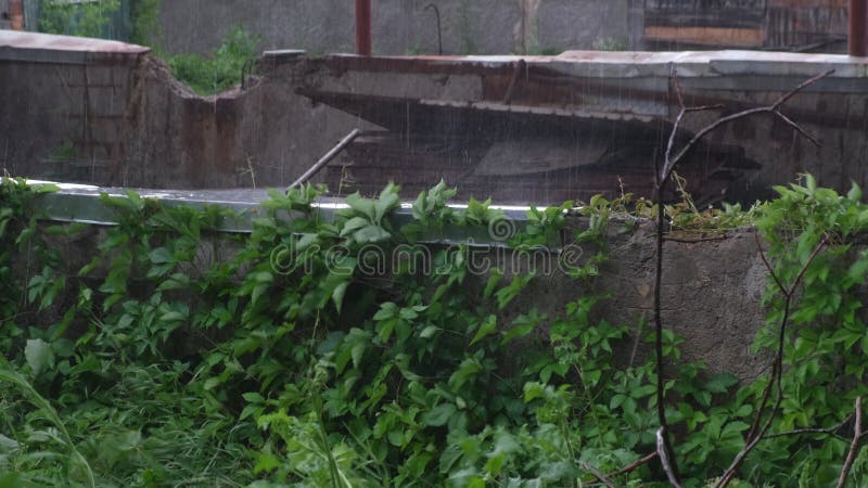 Very Strong Wind Blowing. Windsock and Wind Blowing Stock Footage ...