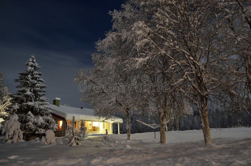 Heavy snow on trees and house in christmas night