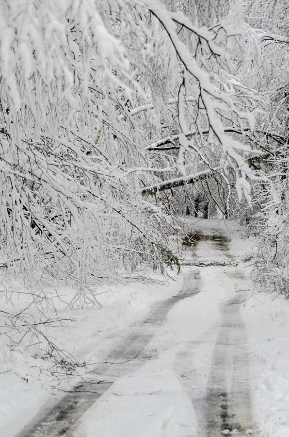 Fallen trees on road in winter snow storm stock photography Fallen trees on road in winter snow storm stock photography