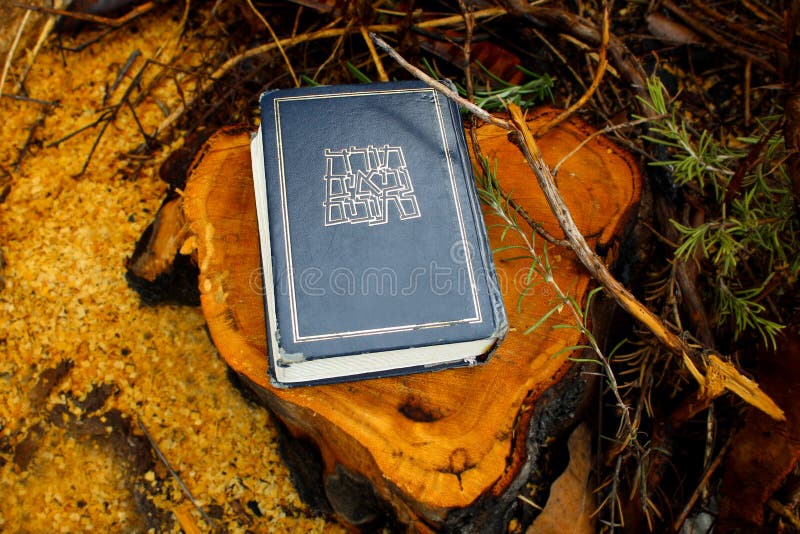 Hebrajska biblia Torah lub Tanakh, Neviim, Ketuvim Kanoniczna kolekcja Żydowscy teksty, Żydowska książka Izrael zdjęcia royalty free Hebrajska biblia Torah lub Tanakh, Neviim, Ketuvim Kanoniczna kolekcja Żydowscy teksty, Żydowska książka Izrael zdjęcia royalty free