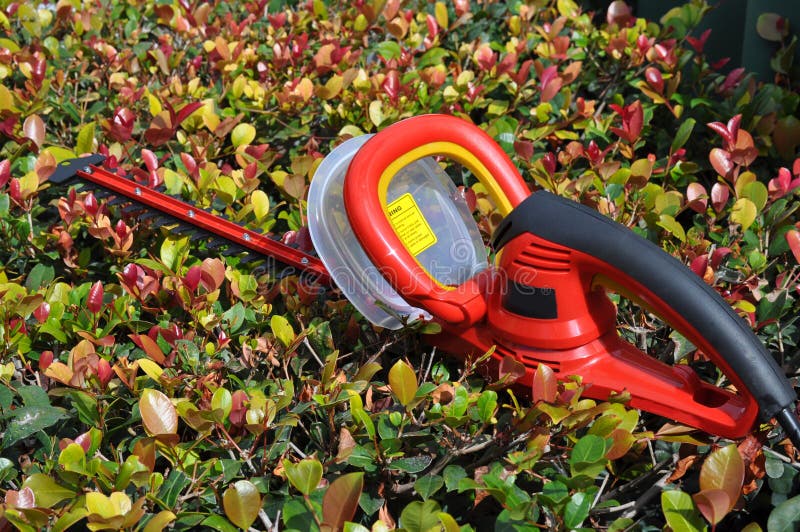 Hedge Trimmer with Safety Guard Stock Photo Image of trim, garden