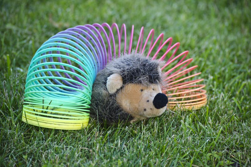 Hedgehog in the slinky on the lawn stock photo Hedgehog in the slinky on the lawn stock photo