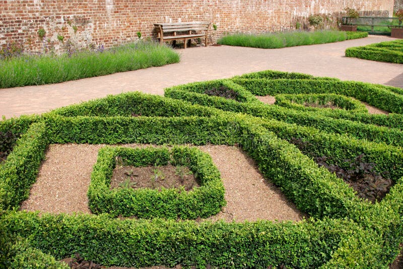 Geometric diamond shaped hedge designs within a walled red brick garden with plants inside the hedged areas and lavender borders to the rear. Geometric diamond shaped hedge designs within a walled red brick garden with plants inside the hedged areas and lavender borders to the rear.