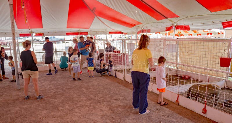 Salem, VA â€“ July 1st: Families enjoying the Hedrickâ€™s Petting Zoo at the 17th annual Salem Fair, Salem, VA, USA on the 1st of July, 2017.