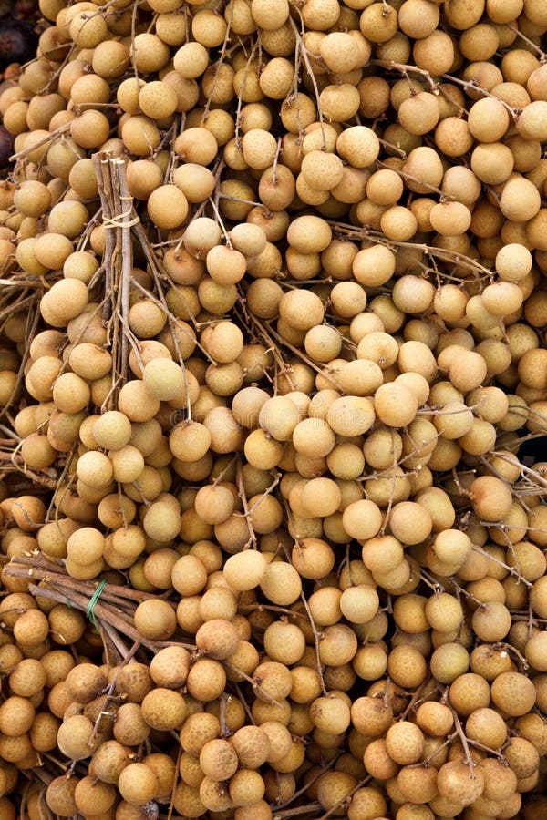 Heel wat longans royalty-vrije stock afbeelding