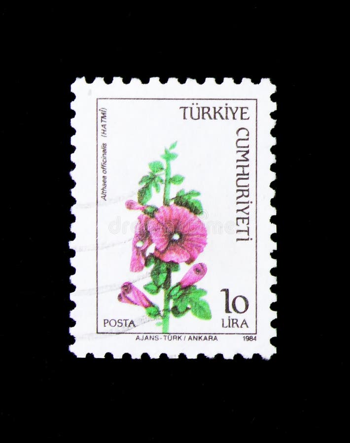 Heemstbloem Althaea Officinalis, Wilde Bloemen serie, circa 1984 stock foto Heemstbloem Althaea Officinalis, Wilde Bloemen serie, circa 1984 stock foto