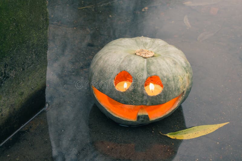 Jack-o-lantern in the shallow water with a willow leaf. Jack-o-lantern in the shallow water with a willow leaf