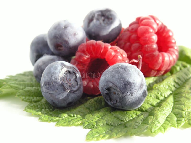 Heidelbeere stockfoto. Bild von blaubeeren, rund, gesund 1266740