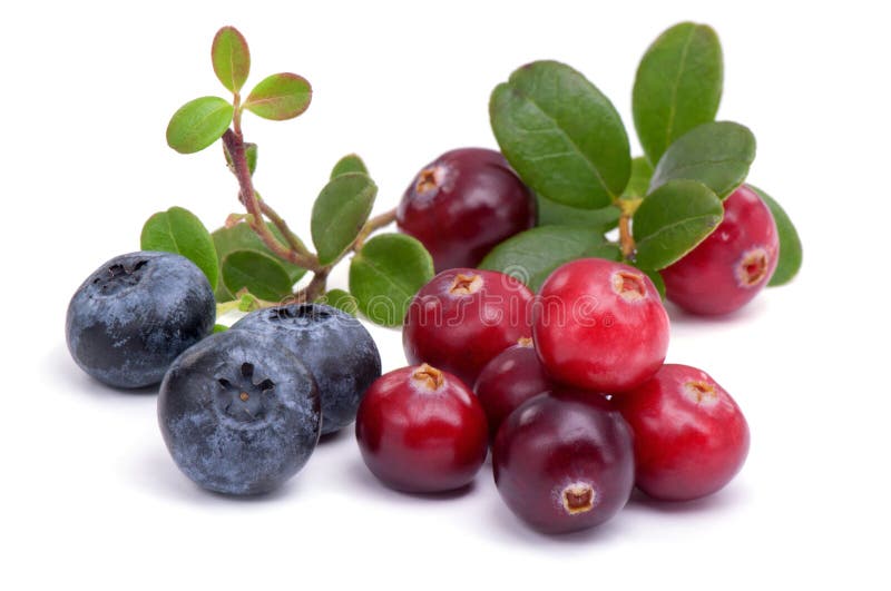 49,824 Heidelbeere Fotos - Kostenlose und Royalty-Free Stock-Fotos von