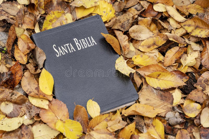 Heilige Bibel Bibel geschlossen auf gefallenen Herbstlaub lizenzfreies stockbild Heilige Bibel Bibel geschlossen auf gefallenen Herbstlaub lizenzfreies stockbild