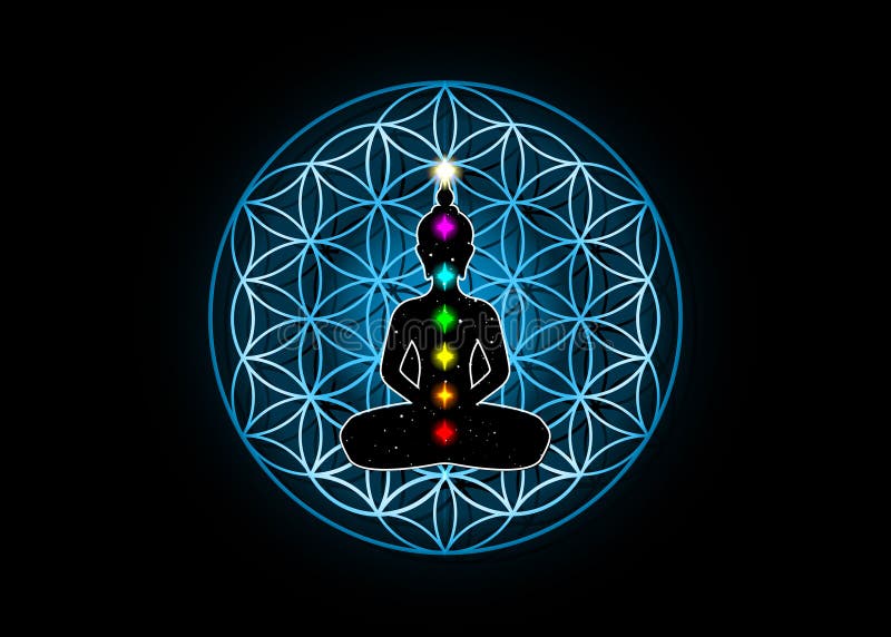 Sacred Geometry, flower of life and Buddha in a lotus position with colorful 7 chakras. Metatrons cube. Symbol of alchemy, religion and spirituality. Vector isolated on black background. Sacred Geometry, flower of life and Buddha in a lotus position with colorful 7 chakras. Metatrons cube. Symbol of alchemy, religion and spirituality. Vector isolated on black background