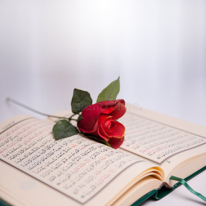 Heiliger Quran und Rosen stockfoto. Bild von buch, tabelle 64980998