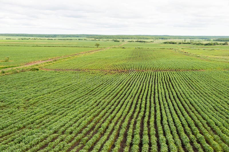 HEILONGJIANG, CHINA - 14. Juli 2015: Landschaft von Heihe mit hil stockbilder HEILONGJIANG, CHINA - 14. Juli 2015: Landschaft von Heihe mit hil stockbilder