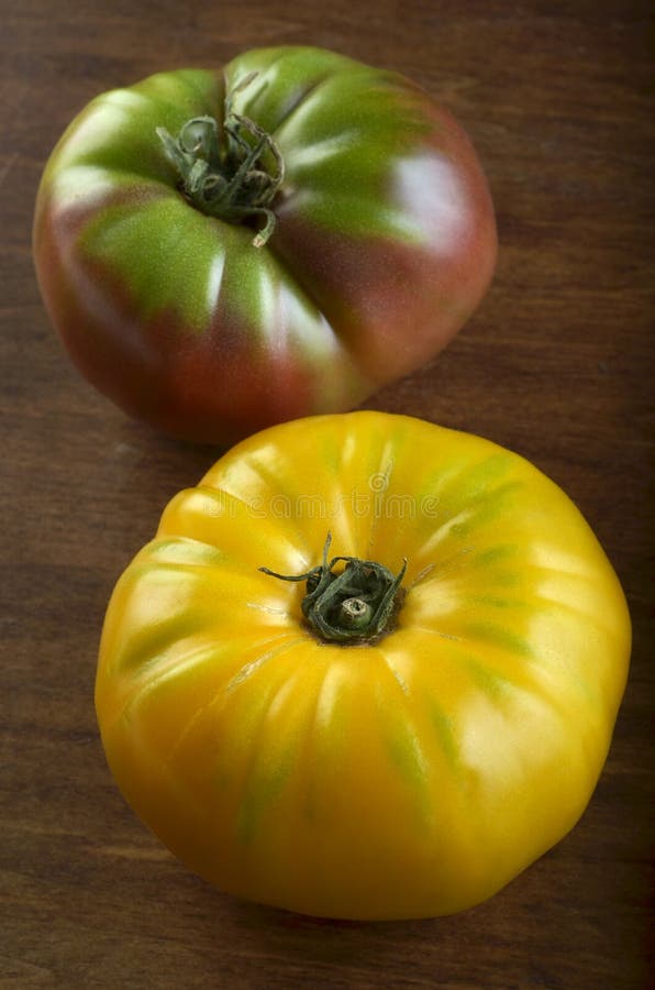 Green And Red Heirloom Tomatoes Stock Image Image of horticulture