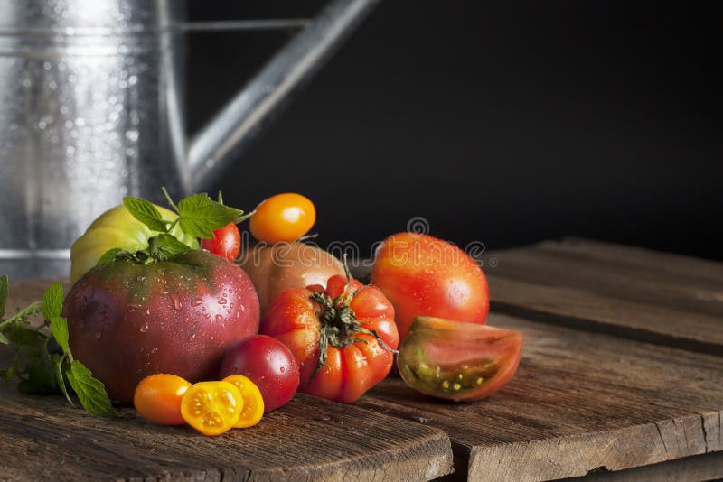 Heirloom Tomatoes stock images Heirloom Tomatoes stock images