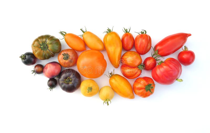 Heirloom tomatoes isolated on white background