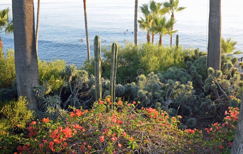Heislerpark gemodelleerde tuinen, Laguna Beach, Californië royalty-vrije stock foto's Heislerpark gemodelleerde tuinen, Laguna Beach, Californië royalty-vrije stock foto's