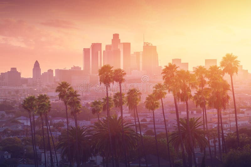 Los Angeles hot sunset view with palm tree and downtown in background. California, USA. Los Angeles hot sunset view with palm tree and downtown in background. California, USA.