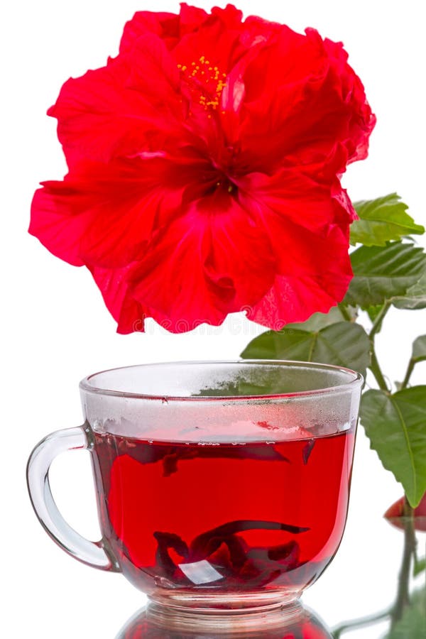 Heiße Tee- und Hibiscusblume lizenzfreies stockbild Heiße Tee- und Hibiscusblume lizenzfreies stockbild