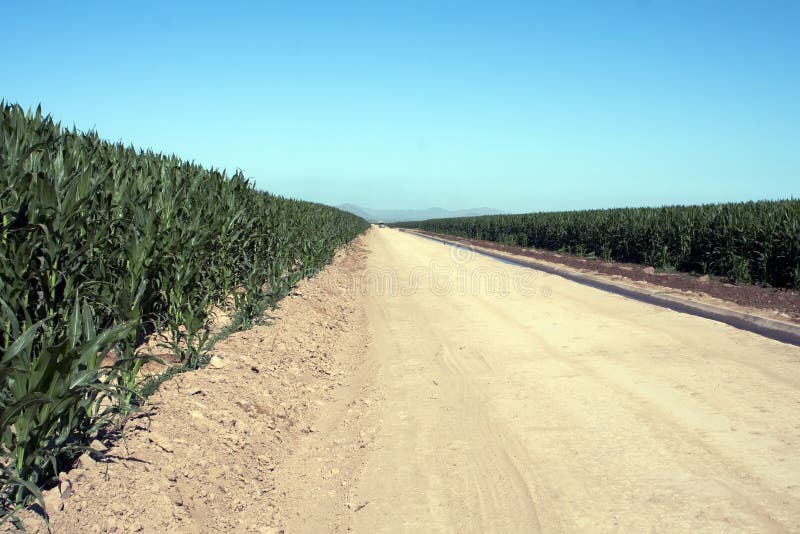 Full agricultural irrigation canal brings water to miles of the dry desert farm corn fields of Arizona. Full agricultural irrigation canal brings water to miles of the dry desert farm corn fields of Arizona.