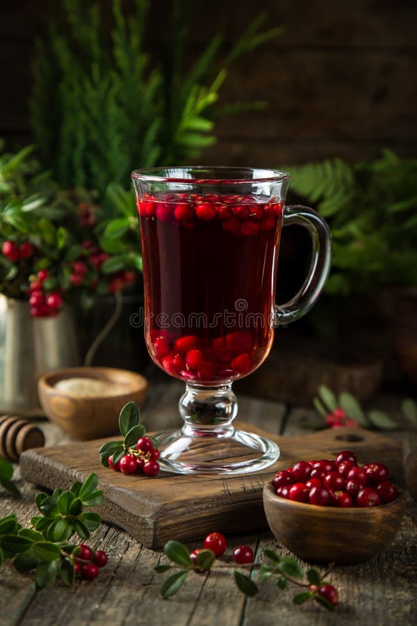 Heißer würziger Lingonberry- oder Moosbeertee im Glas stockfoto