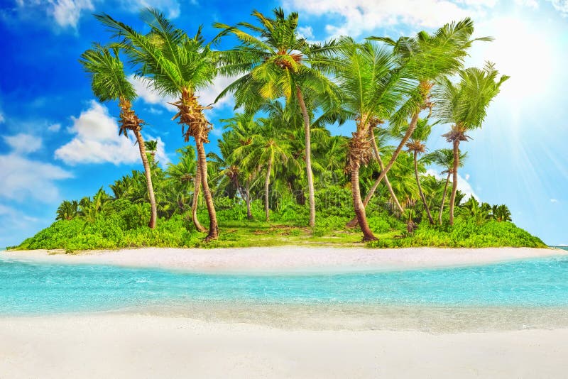 Hel tropisk ö inom atoll i Indiska oceanen royaltyfri bild Hel tropisk ö inom atoll i Indiska oceanen royaltyfri bild