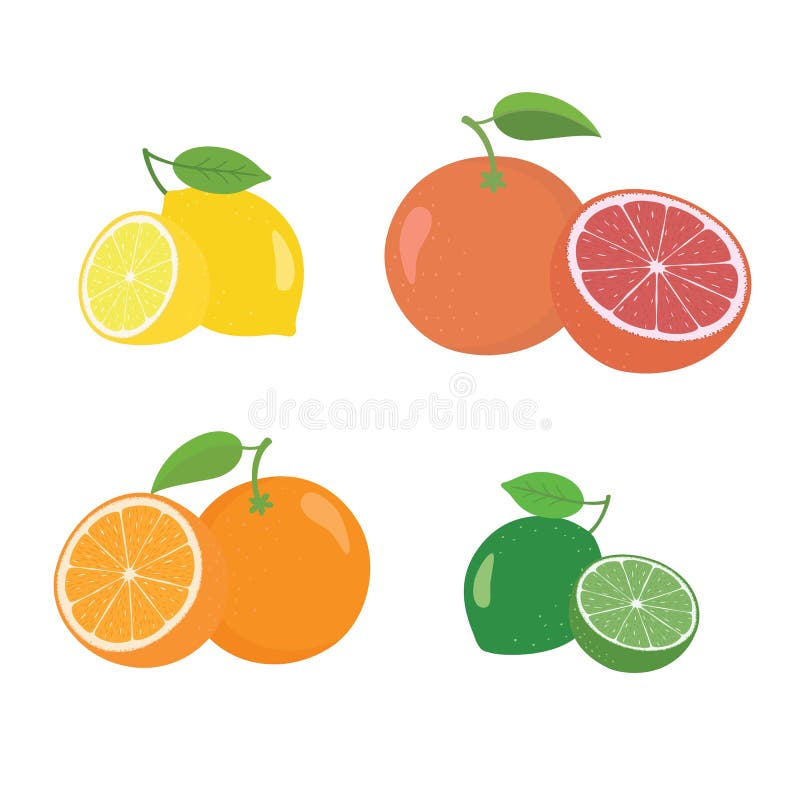 Hela nya citrusfrukter och halvor 4 symboler kvadrerar med orange grapefruktcitronlyme royaltyfri illustrationer