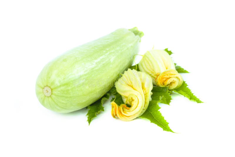 Hela nya gröna zucchini eller zucchinier med den gula ätliga blomman och bladet, objekt som isoleras på vit bakgrund arkivbilder Hela nya gröna zucchini eller zucchinier med den gula ätliga blomman och bladet, objekt som isoleras på vit bakgrund arkivbilder