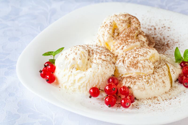 Helado de vainilla con las pasas rojas y el cacao imagen de archivo libre de regalías Helado de vainilla con las pasas rojas y el cacao imagen de archivo libre de regalías