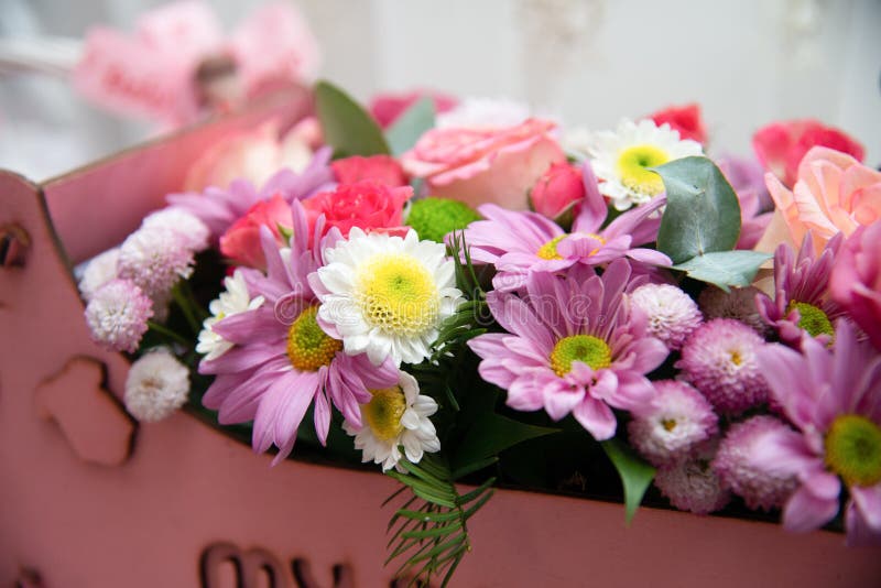 Helderbloemen, bouquet, achtergrond Mooie sluiting van een bloemenstelsel