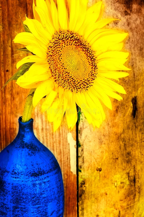 Heldere gele zonnebloem op een blauwe vaas