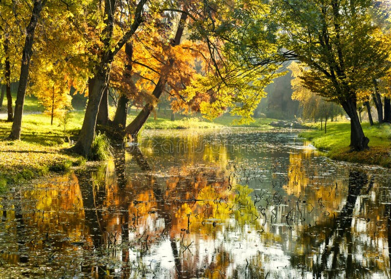 Heldere ochtend over rivier in de bosrivier en bomen in daling Herfstochtend met mooie warme kleuren in park
