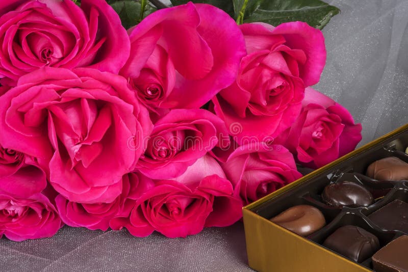 Heldere Roze Rozen en Gastronomische Chocolade op Gray Tulle Background stock foto's Heldere Roze Rozen en Gastronomische Chocolade op Gray Tulle Background stock foto's