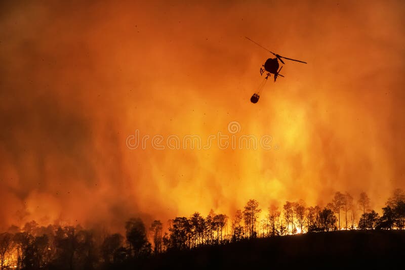 Helicóptero de combate a incêndios transporta balde de água para extinguir o incêndio florestal