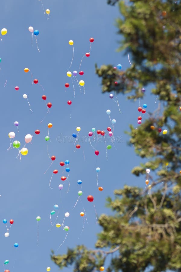 Helium Balloons Fly in the Sky Stock Image Image of festival, shiny