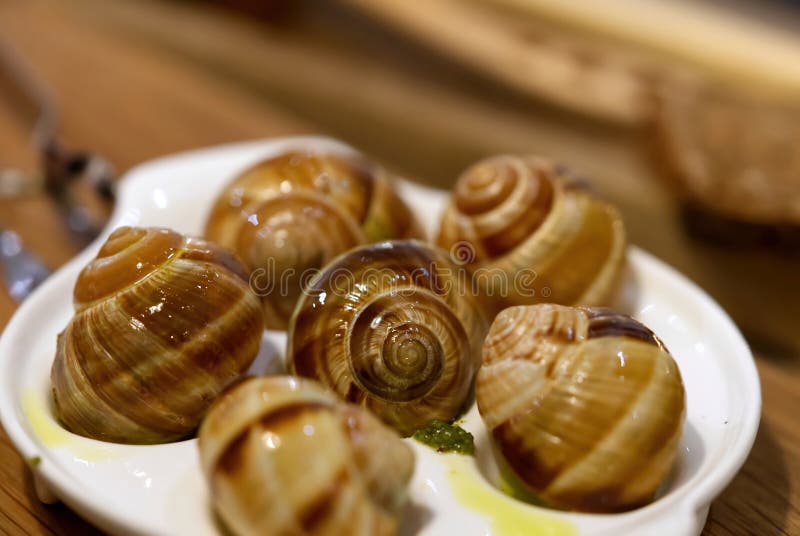 Escargots de Bourgogne en coquille - Arts & Gastronomie