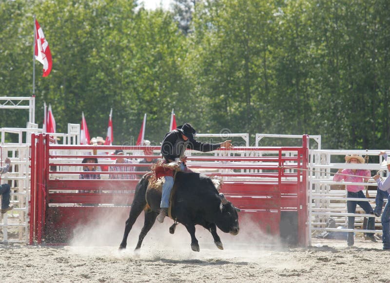 Taken at a local rodeo show. Taken at a local rodeo show