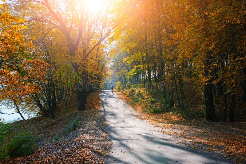 Helle und szenische Landschaft der neuen Straße mit Radfahrer über auttumn Bäumen mit gefallenem orange und gelbem Blatt lizenzfreies stockbild Helle und szenische Landschaft der neuen Straße mit Radfahrer über auttumn Bäumen mit gefallenem orange und gelbem Blatt lizenzfreies stockbild