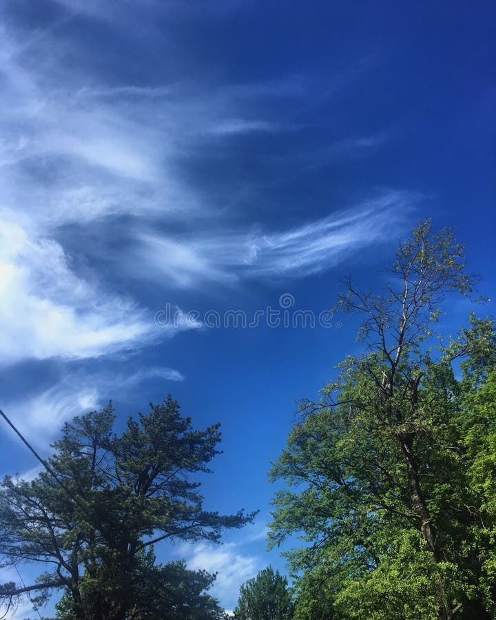 Download Heller Himmel stockbild. Bild von hell, sonnig, grün - 96929181