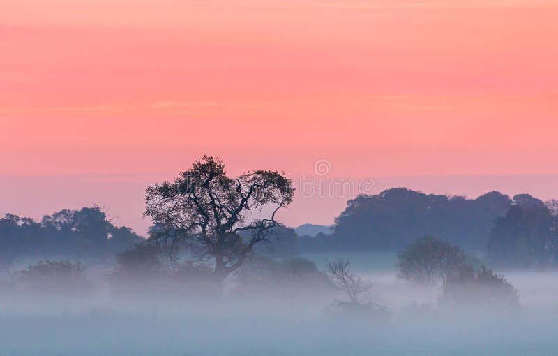Helles Farbmorgens Feld lizenzfreie stockfotografie Helles Farbmorgens Feld lizenzfreie stockfotografie
