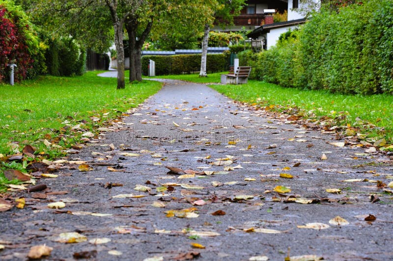 Hello autumn - pathway under the fall colored leaves stock photo