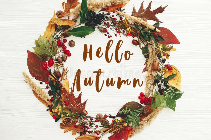 Hello Autumn text, fall greeting sign on autumn wreath flat lay of fall leaves, red berries, acorns, anise, nuts, autumn flowers stock image Hello Autumn text, fall greeting sign on autumn wreath flat lay of fall leaves, red berries, acorns, anise, nuts, autumn flowers stock image
