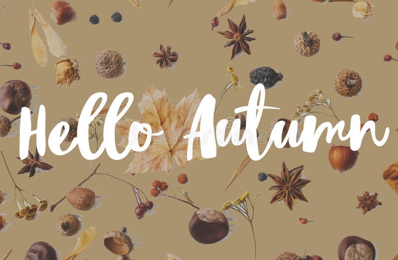 Hello Autumn text on fall leaves, berries, acorns and anise on awkwardly painted brown background. Creative modern Autumnal greeting card, flat lay. Welcome Fall. Hello Autumn text on fall leaves, berries, acorns and anise on awkwardly painted brown background. Creative modern Autumnal greeting card, flat lay. Welcome Fall